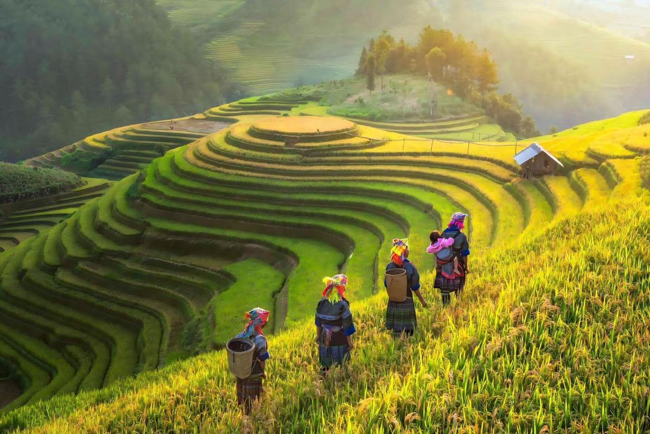 Central Sapa Charm Hotel Exteriér fotografie